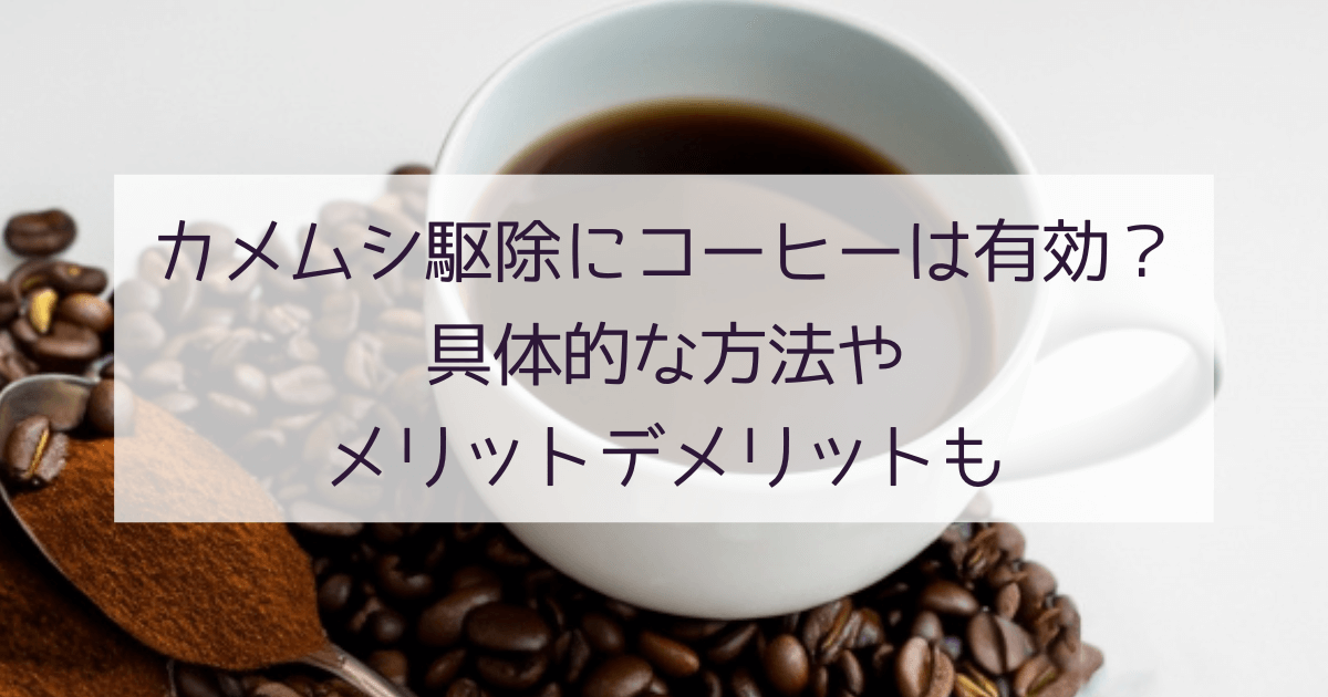 カメムシの駆除にコーヒーは有効？